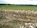 Dry Stone Walling